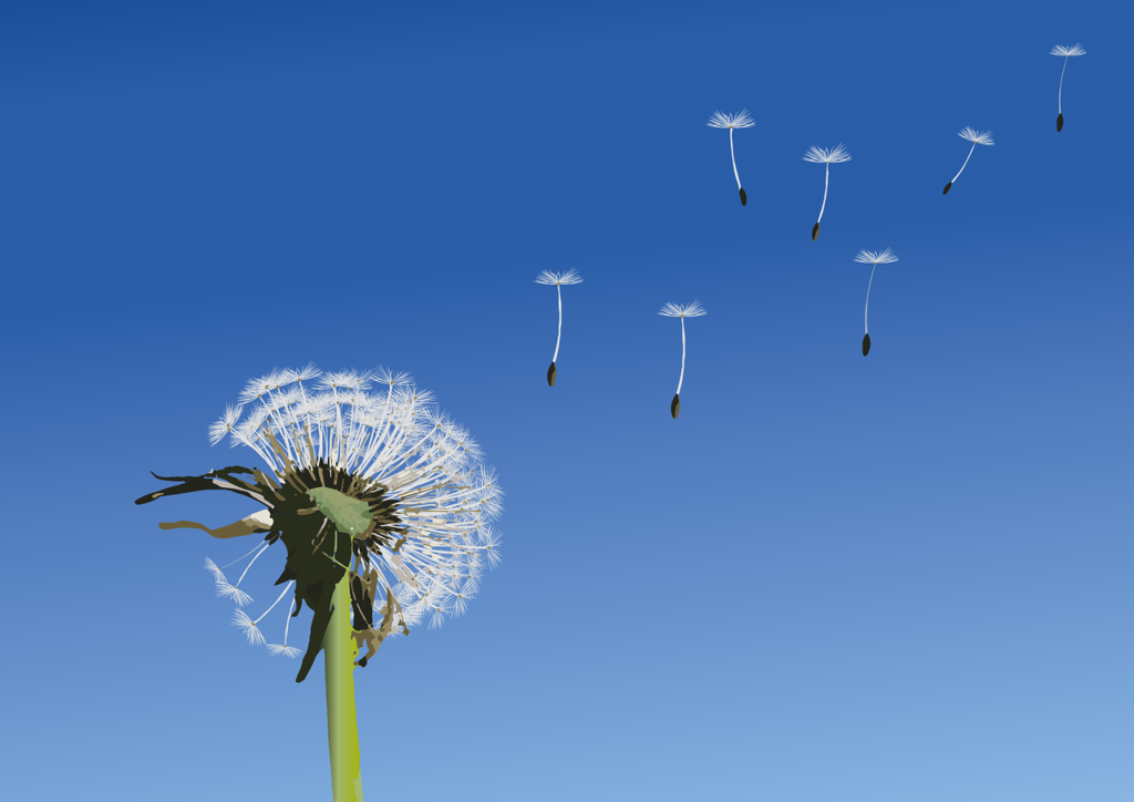 dandelion-5227938_1280